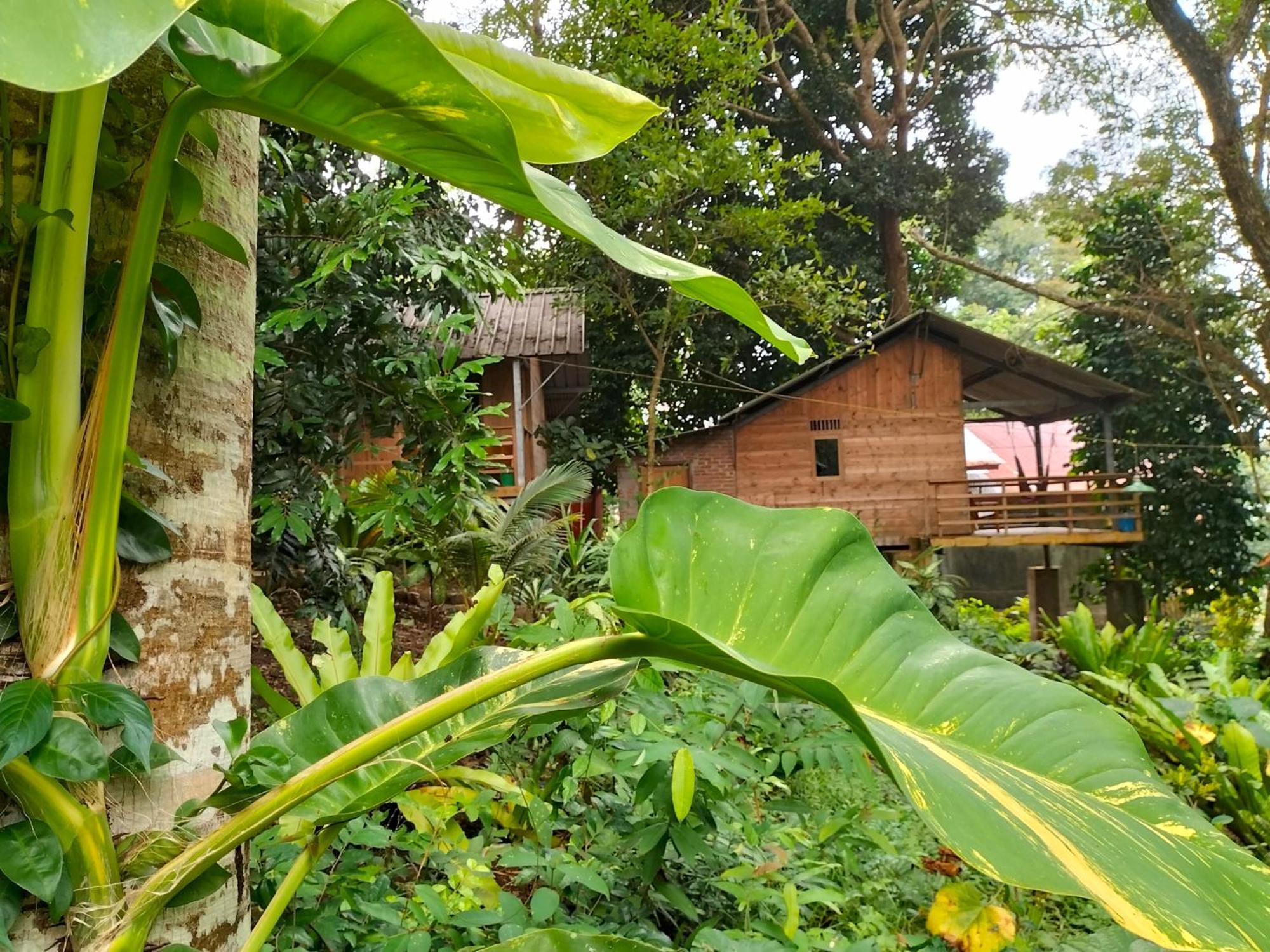 Santi Garden Bungalows Iboih Dış mekan fotoğraf