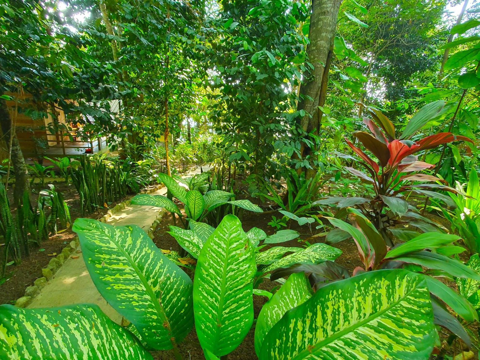 Santi Garden Bungalows Iboih Dış mekan fotoğraf