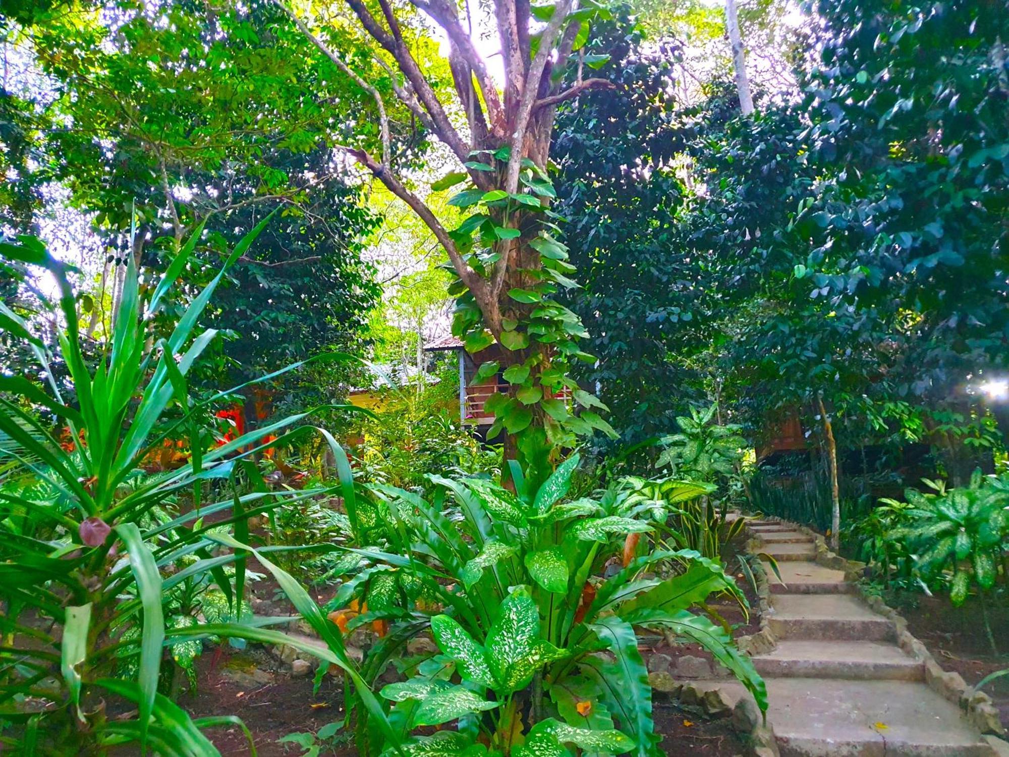 Santi Garden Bungalows Iboih Dış mekan fotoğraf